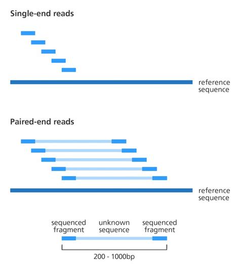 93 best images about Illustrating genomics on Pinterest | Dna, Enzyme ...