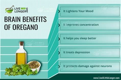 5 Little-Known Brain Benefits of Oregano