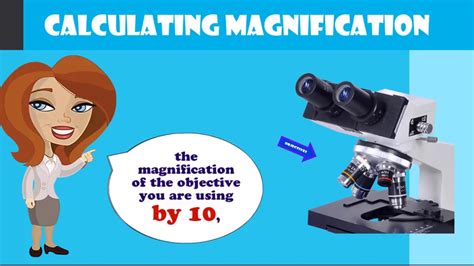 48+ How To Calculate The Magnification Of A Microscope - Nersyaminarsih