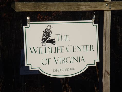 Wildlife Center of Virginia