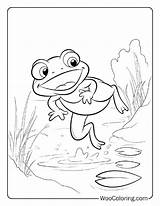 100  Toad Coloring Pages Free PDF To Print Woo Coloring sketch template