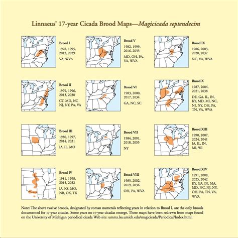 Broad X Cicadas Map - krkfm