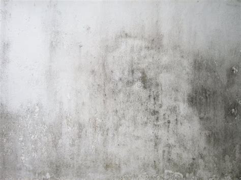 Dirty white wall stock photo. Image of paint, dirt, abstract - 60289656