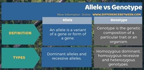 Difference Between Allele and Genotype | Compare the Difference Between ...