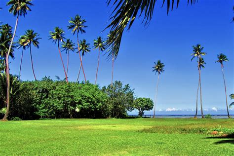 Real-estate oceanview land in Fiji - Property and lot prices | SigaSiga ...