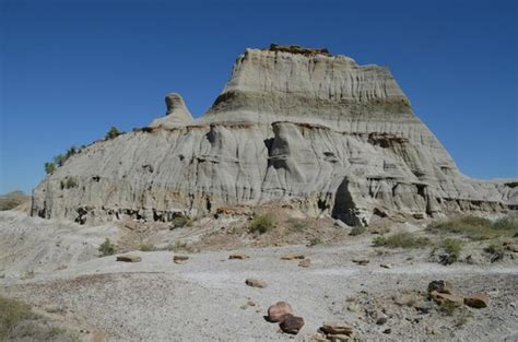 Alberta Fossil Trail, Badlands. - Picture of Royal Tyrrell Museum, Drumheller - TripAdvisor