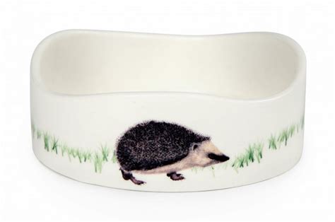 Hedgehog Bowl | NHBS Practical Conservation Equipment