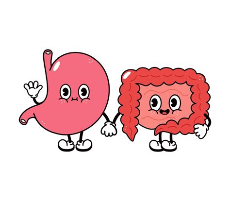 Cute, funny happy stomach and intestines character. Vector hand drawn ...