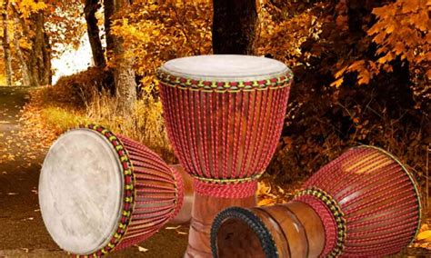 The Djembe - Details About The Djembe | Phamox Music