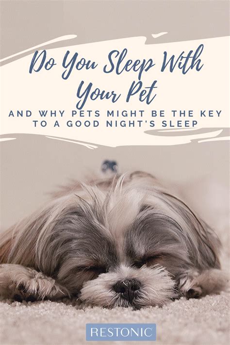 Does your dog sleep with you? Your dog's presence in your bedroom may ...