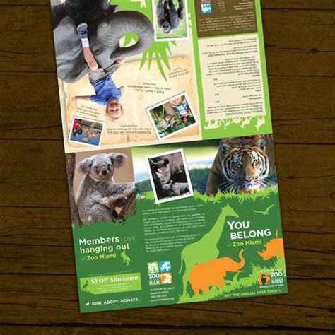 Zoo Miami membership brochure by Ana Verástegui, via Behance | Zoo project, Zoo, Brochure