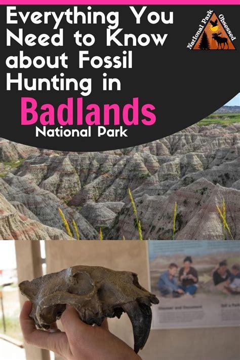 Everything you need to know about Fossil Hunting in Badlands National Park, South Dakota ...