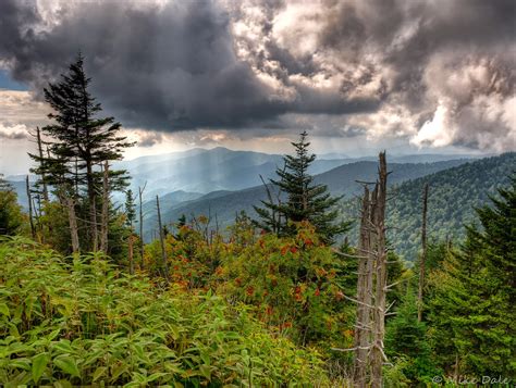 Mike's Photographs : Clingmans Dome