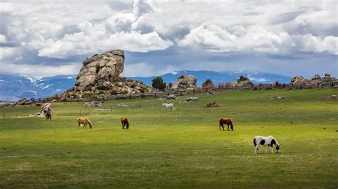 Brush Creek Ranch Launches Immersive Epicurean Experiences at The Farm - Hidden Doorways ...