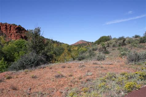 Birding at Red Rock State Park (Sedona. Arizona)