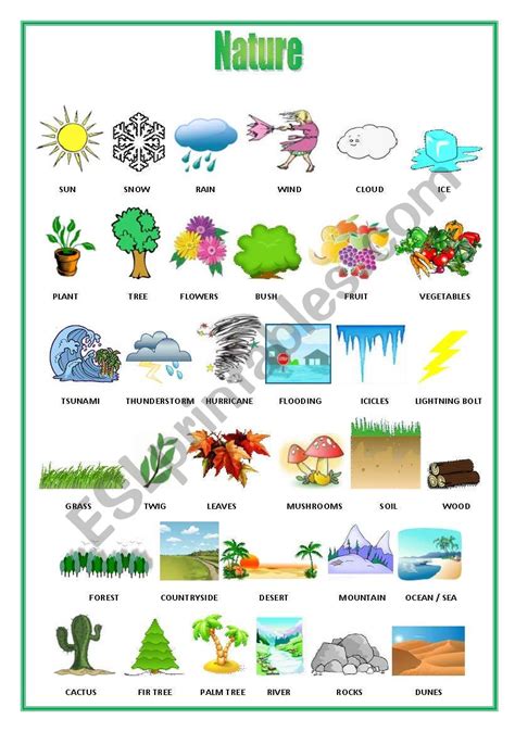 Nature Worksheets For Kids