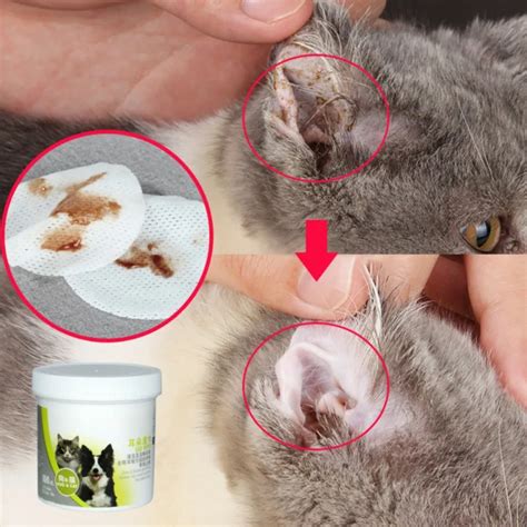 100pcs/set Pet Cat Ear Cleaner Wipes Dogs Stop Itching Gentle Cleaning Keep Hygiene Pet Cat ...