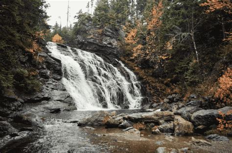 Best Hikes in Fundy National Park