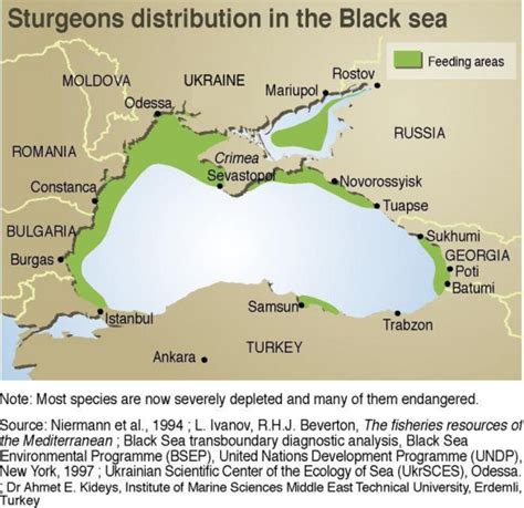 Infographics, Maps, Music and More: Black Sea Pollution