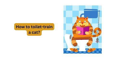 How to toilet train a cat? - A Comprehensive Guide | Waggle®