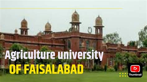 University of agriculture Faisalabad tour life at uaf full Documentry ...