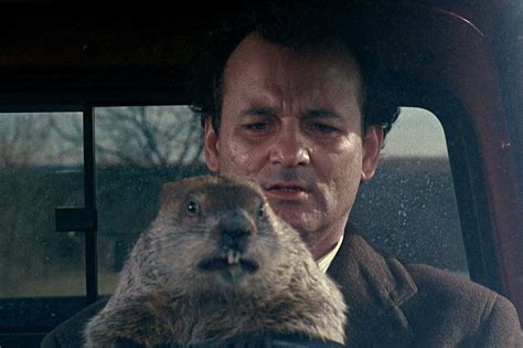 It's Groundhog Day... again | mgoblog