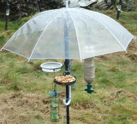 Clever Umbrella Bird Feeder: this keeps seed dry, protects birds from ...