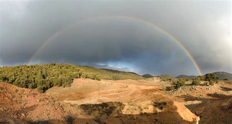 Ifrane National Park