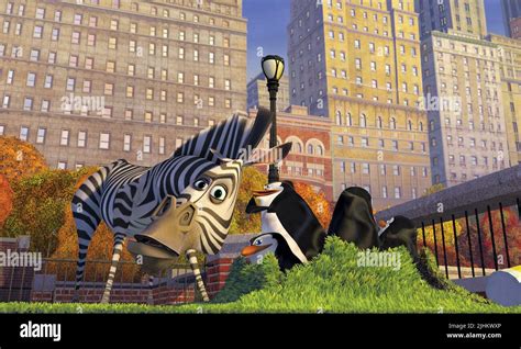 Marty the zebra hi-res stock photography and images - Alamy