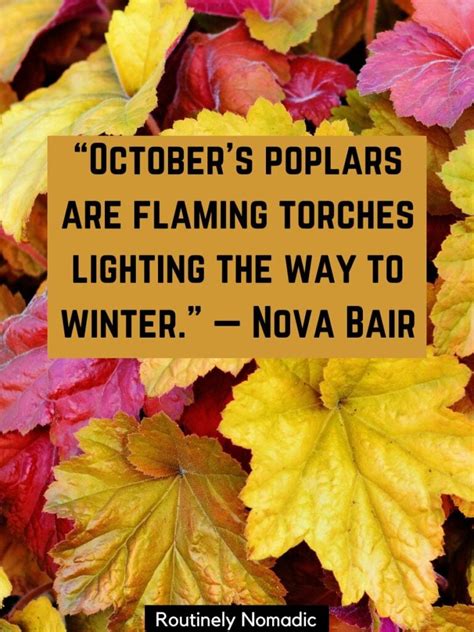 Funny October Quotes: 95 Funny October Sayings for 2023 | Routinely Nomadic