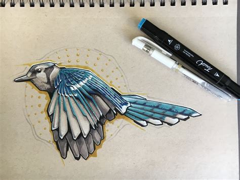 Blue Jay Sketch : drawing