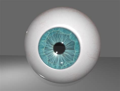 HUMAN EYE 3D model rigged | CGTrader