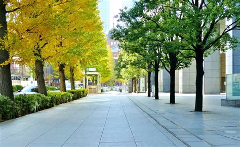 City Sidewalks: Take Inspiration from Sidewalks Around the Globe ...