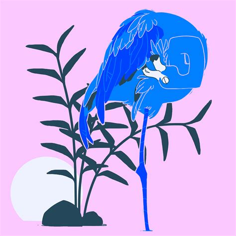 Blue Flamingo on Behance