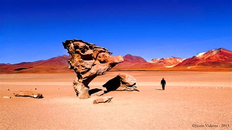 Stone Trees of Bolivia - Charismatic Planet