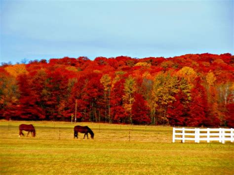 October - Photo from Travel Wisconsin Fall Color Report | Wisconsin ...