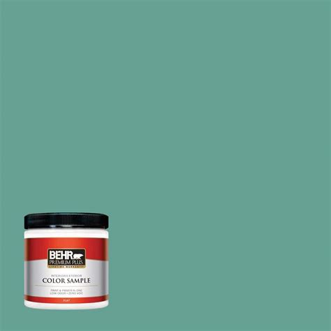 BEHR Premium Plus 8 oz. #T17-15 Jade Dragon Flat Interior/Exterior Paint Sample-PP10416 - The ...