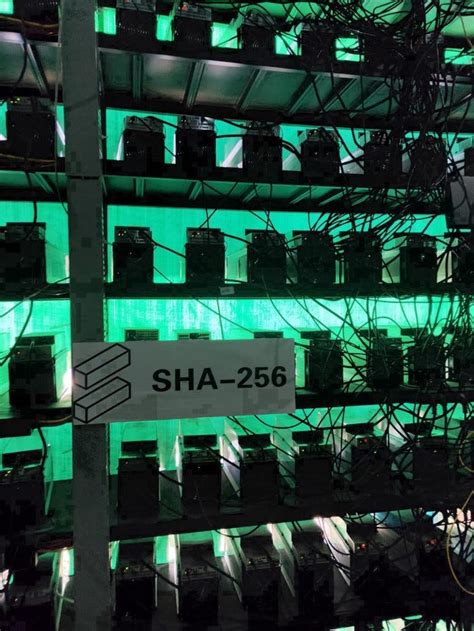 Mining in Sha-256.io — Everything You Need to Know | by Cadpot | Medium