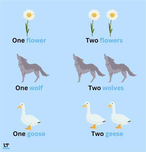 Understanding Plural Nouns: How To Form Them