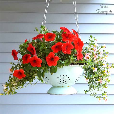 14 DIY Hanging Baskets to Display Your Floral Masterpieces