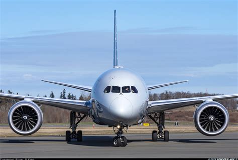 Boeing 787-8 Dreamliner - American Airlines | Aviation Photo #5434147 ...