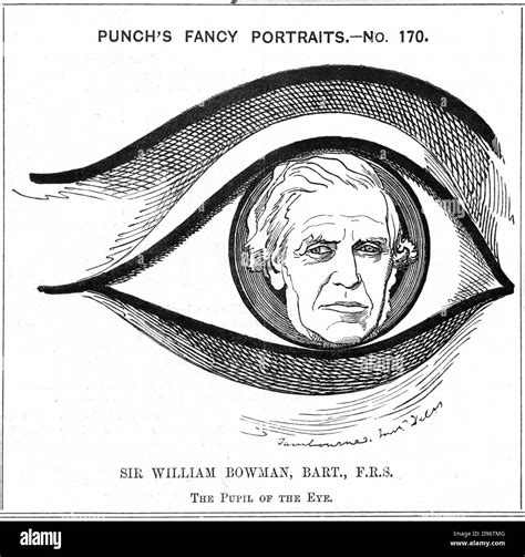 William bowman 1816 1892 english anatomist Banque de photographies et d’images à haute ...