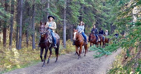 Tour a cavallo nel Parco Nazionale d'Abruzzo Lazio e Molise | musement