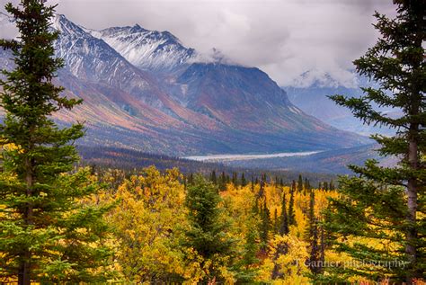 Along the Alaska Autumn Trail | T.Ganner Photography