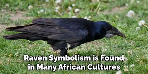 Raven Spiritual Meaning, Symbolism and Totem | Explained (2024)