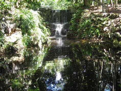 Darwin Botanic Gardens (Australia) on TripAdvisor: Hours, Address, Tickets & Tours, Reviews