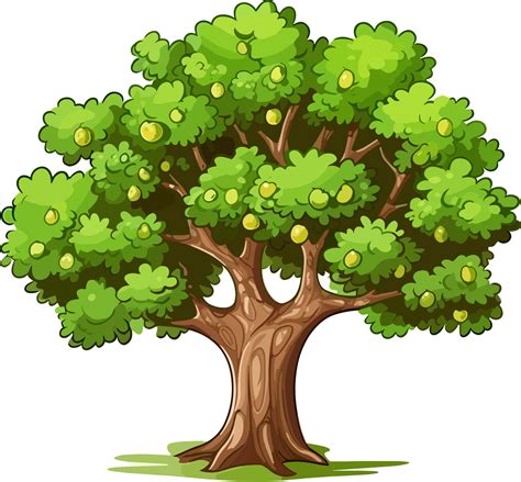 Walnut tree ,Lonely big walnut tree 24678935 PNG