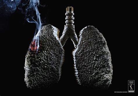 #83 Effects of tobacco smoke on the respiratory system | Biology Notes ...