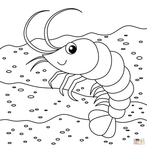 Shrimp For Child - Coloring Games Online