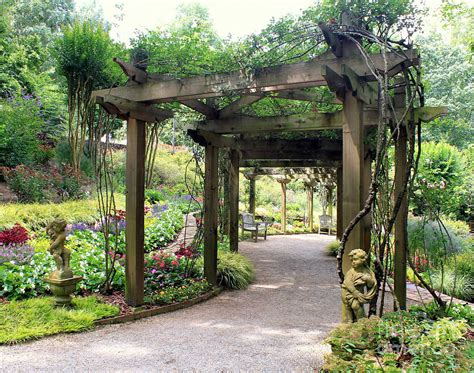 Pergola climbing roses Photograph by Charlene Cox - Pixels